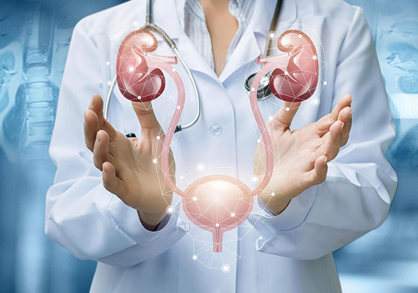 Urology